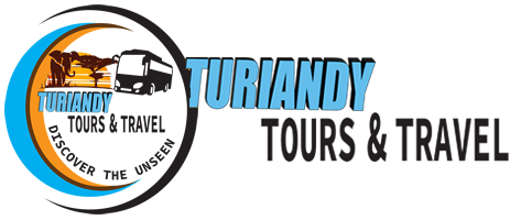Turiandy Tours and Travel